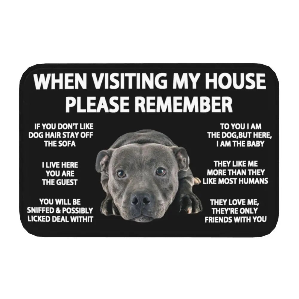 Pawfect Place Non-Slip Doormat
