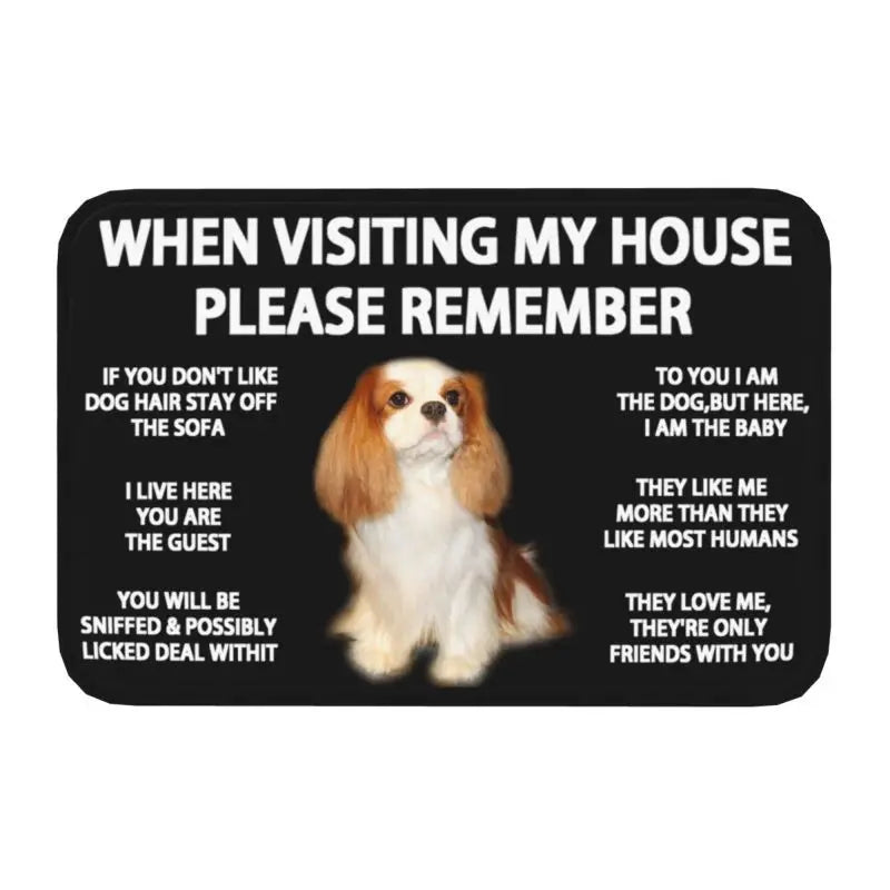 Pawfect Place Non-Slip Doormat