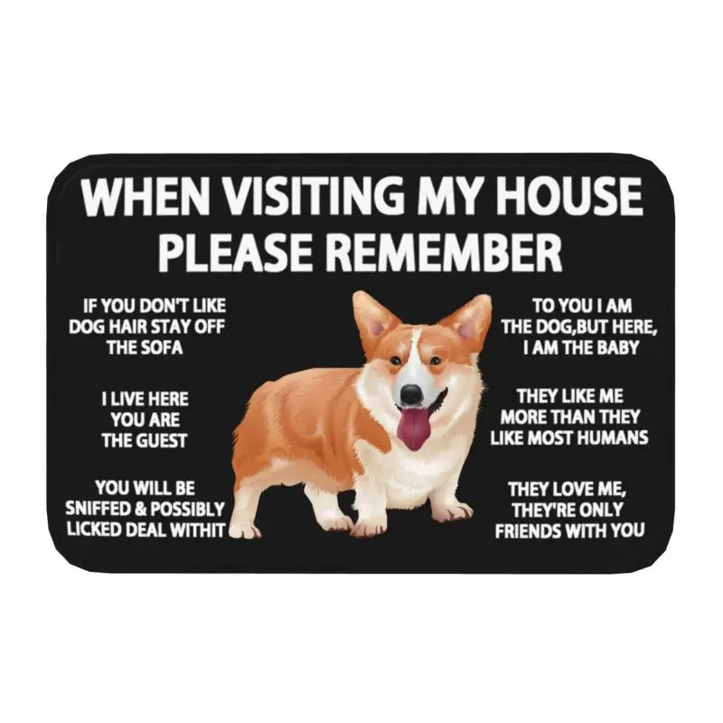 Pawfect Place Non-Slip Doormat