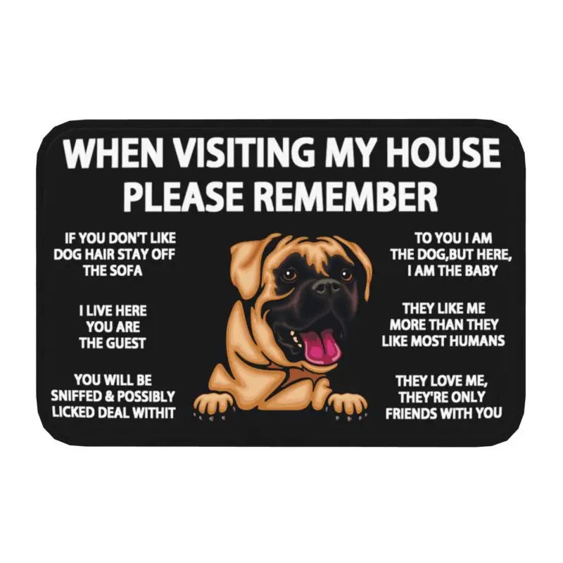 Pawfect Place Non-Slip Doormat