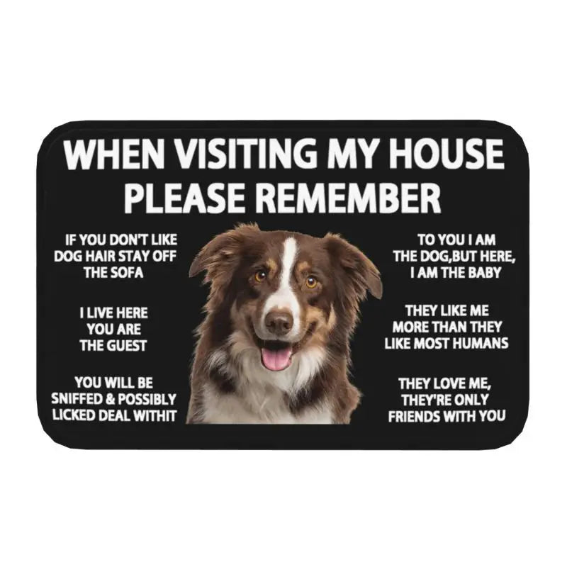 Pawfect Place Non-Slip Doormat