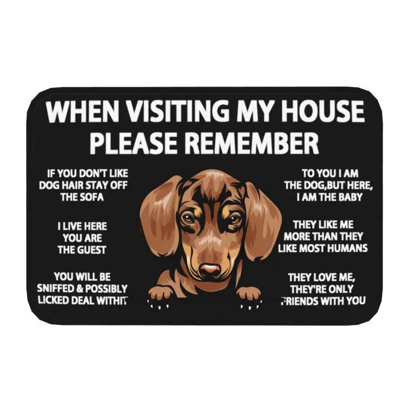 Pawfect Place Non-Slip Doormat