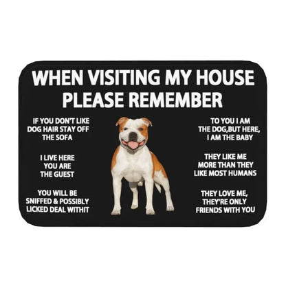 Pawfect Place Non-Slip Doormat