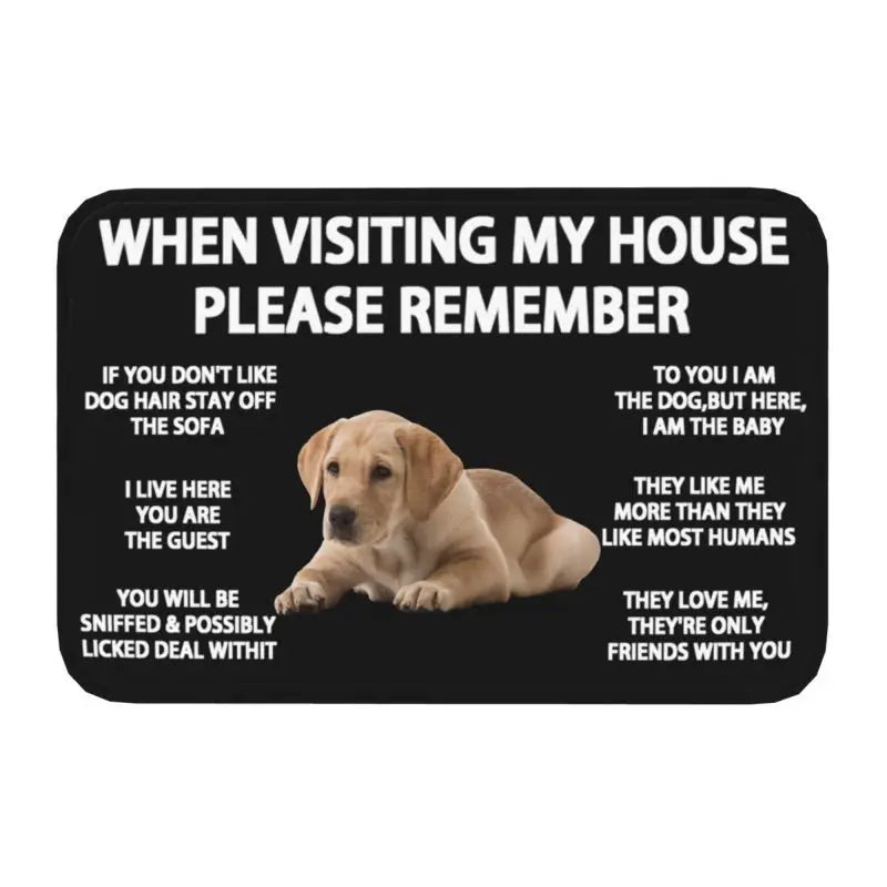 Pawfect Place Non-Slip Doormat