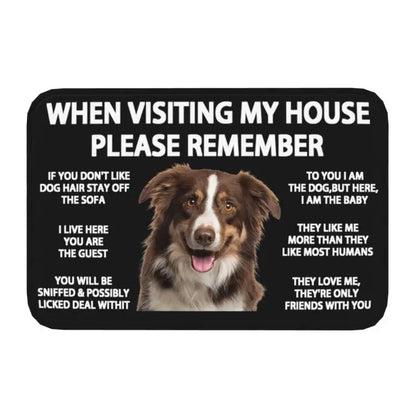 Pawfect Place Non-Slip Doormat